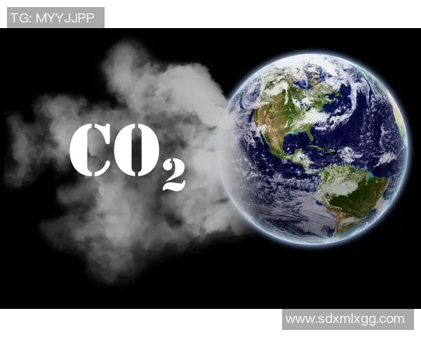 最新全球气候变化报告发布 专家呼吁加强环保政策应对极端天气挑战