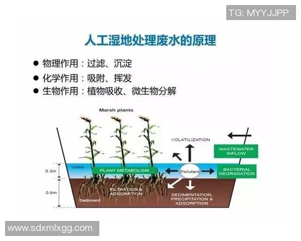 从零开始掌握羽毛球配合技巧的全面指南与实战经验分享