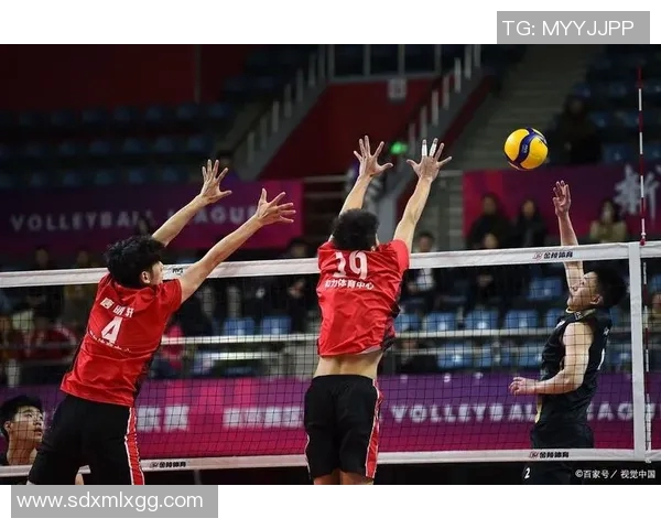 周静独家分享排球心得与技巧助你提升球技的秘密之道