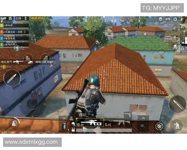 和平精英战术深度解析：FPX团队的成功之道与策略探讨