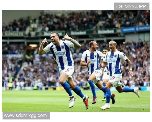 热刺对阵布莱顿精彩赛事在线直播免费观看全攻略