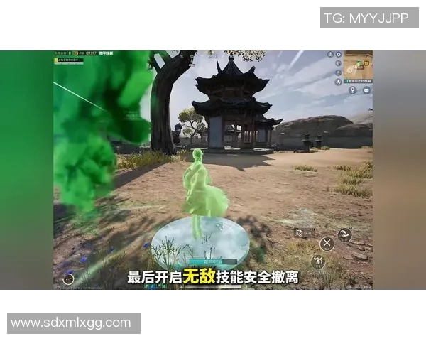 刘秀英专访:从初入游戏到和平精英的辉煌历程回顾与展望