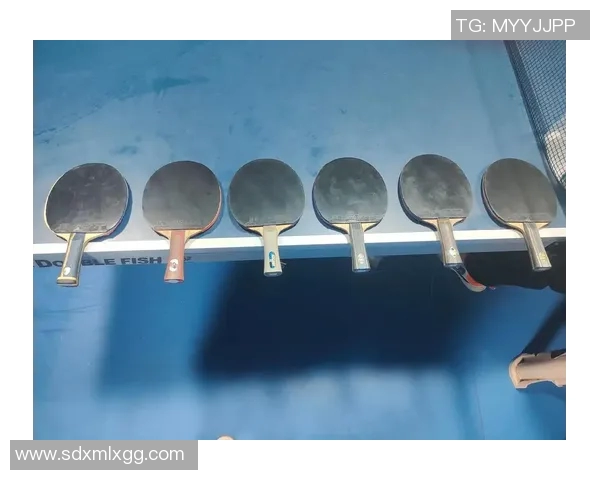 吴敏独家分享乒乓球技巧与心得助你提升球技的秘诀与经验