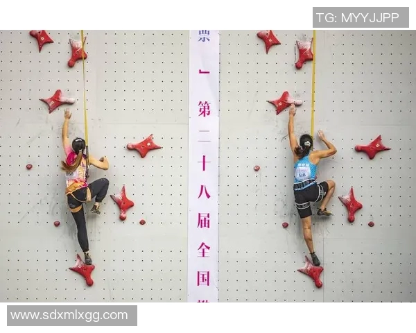 广州攀岩队与武汉攀岩队赛后战术分析与总结探讨