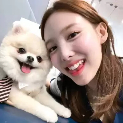 仰映容